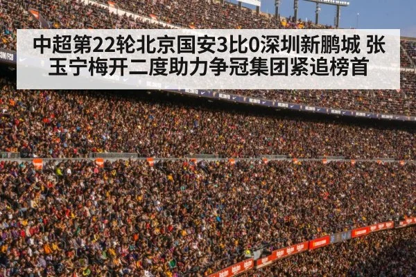 football stadium crowd