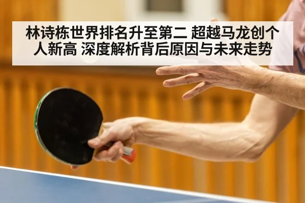 林诗栋世界排名升至第二 超越马龙创个人新高 深度解析背后原因与未来走势